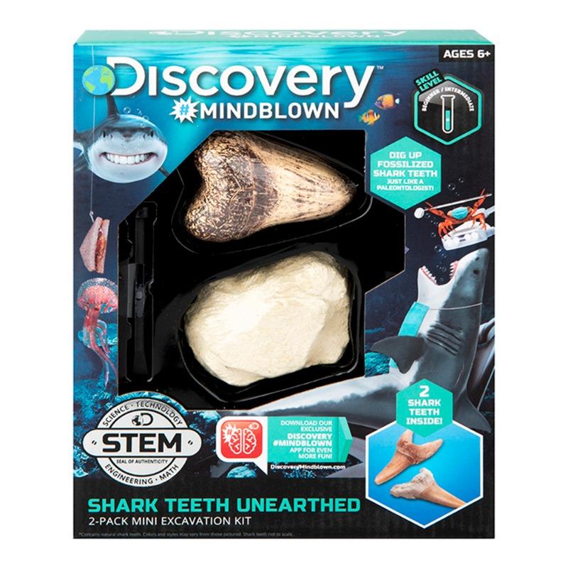 ديسكوفري - مجموعة اسنان القرش من الأثرية 2 قطعة