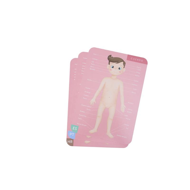 Human Body Puzzle Toy