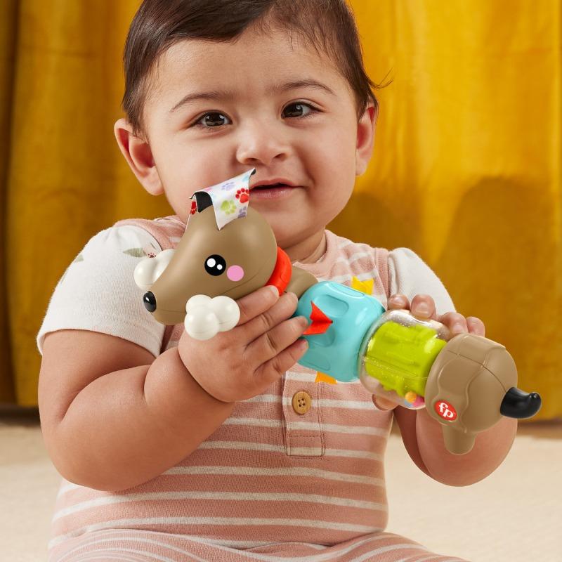 Fisher Price Click and Spin Activity Pup
