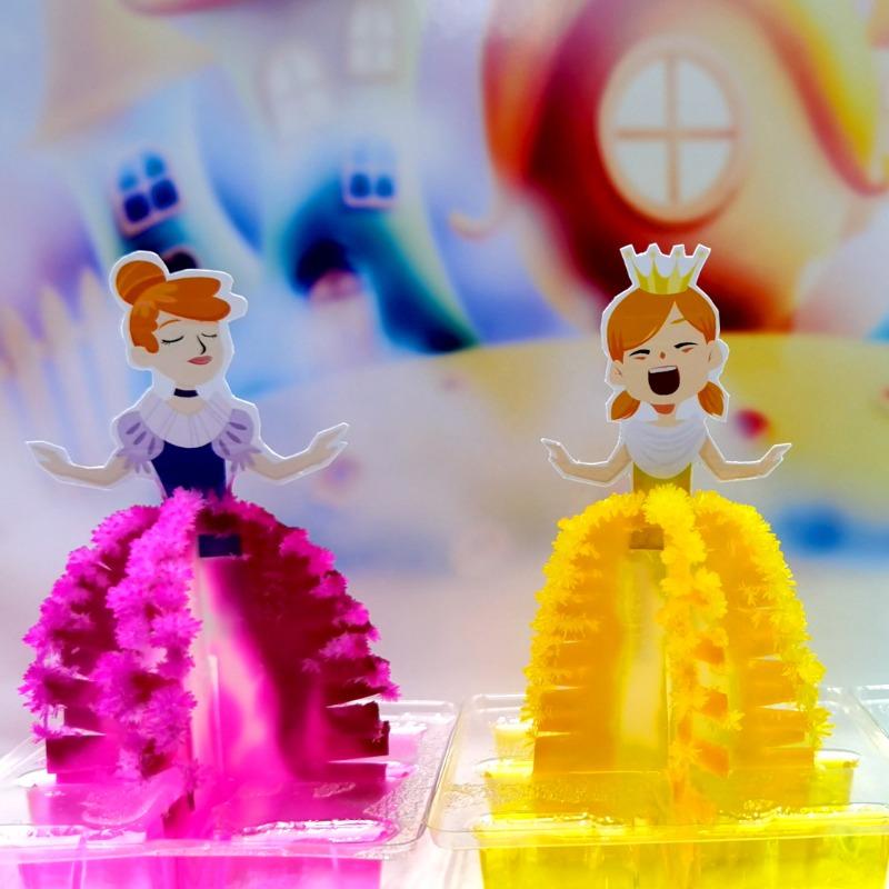 Magical Princes Crystal Tree Science Experiment