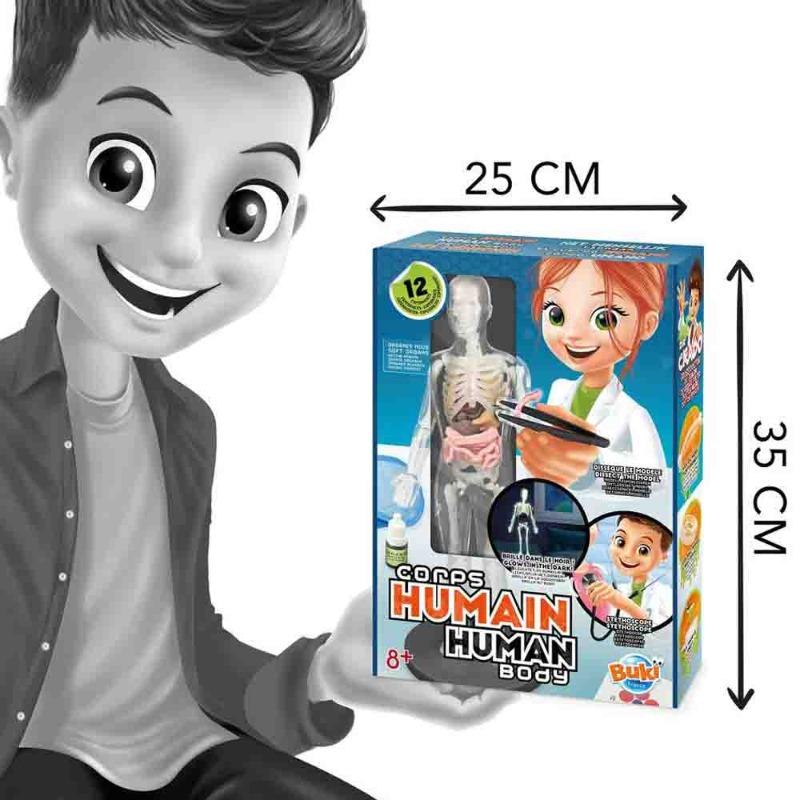 بوكي فرانس - مجموعة تعليم جسم الإنسان 12 تجربة تشريحية