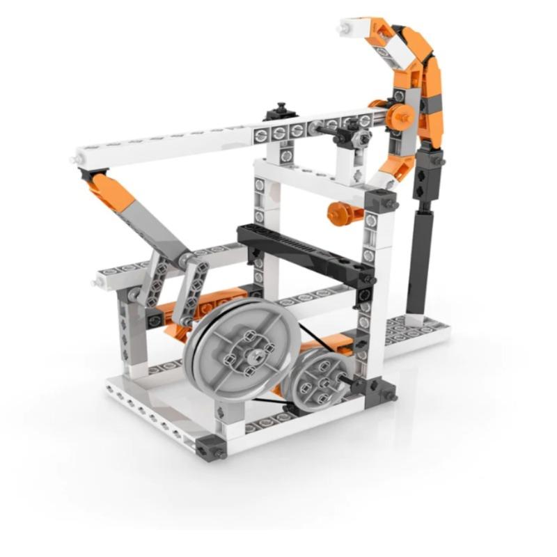 إنجينو - اكتشاف الجذع - الحدب والسواعد