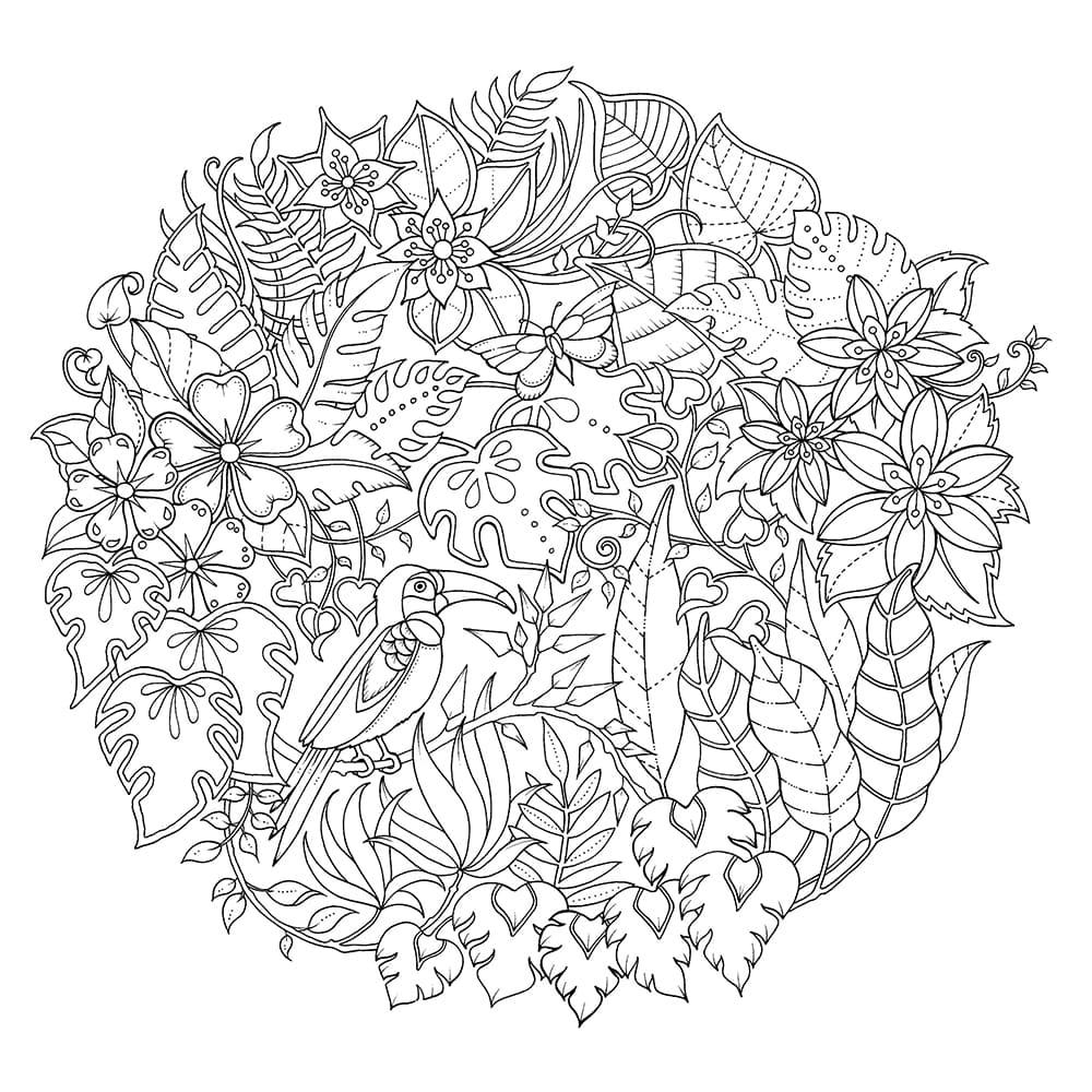 كتاب تلوين الغابة السحرية