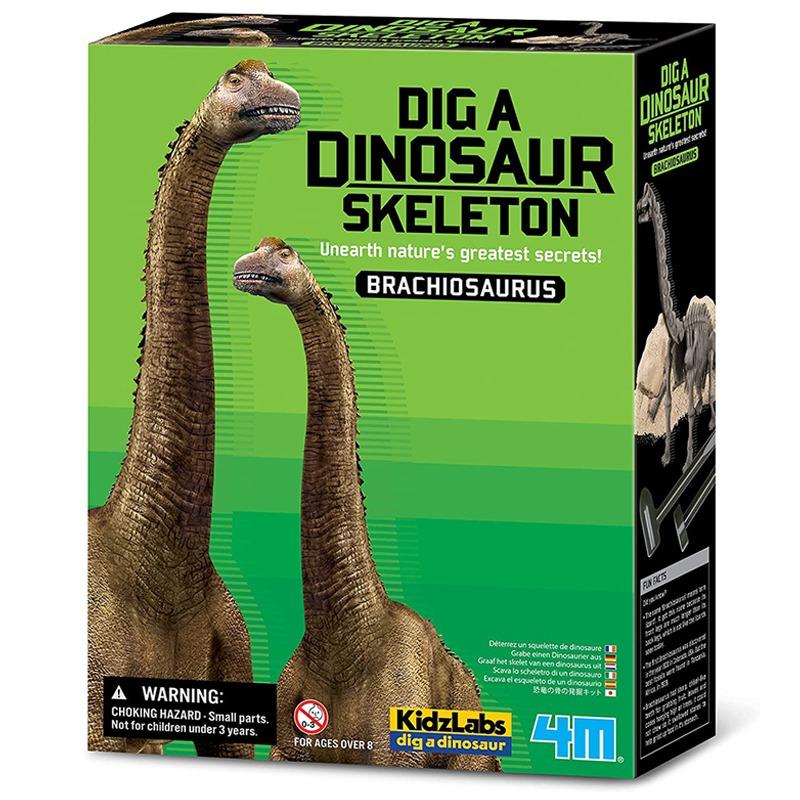 كيدز لابس فور إم - حفرية هيكل عظمي الديناصور براكيوصوروس