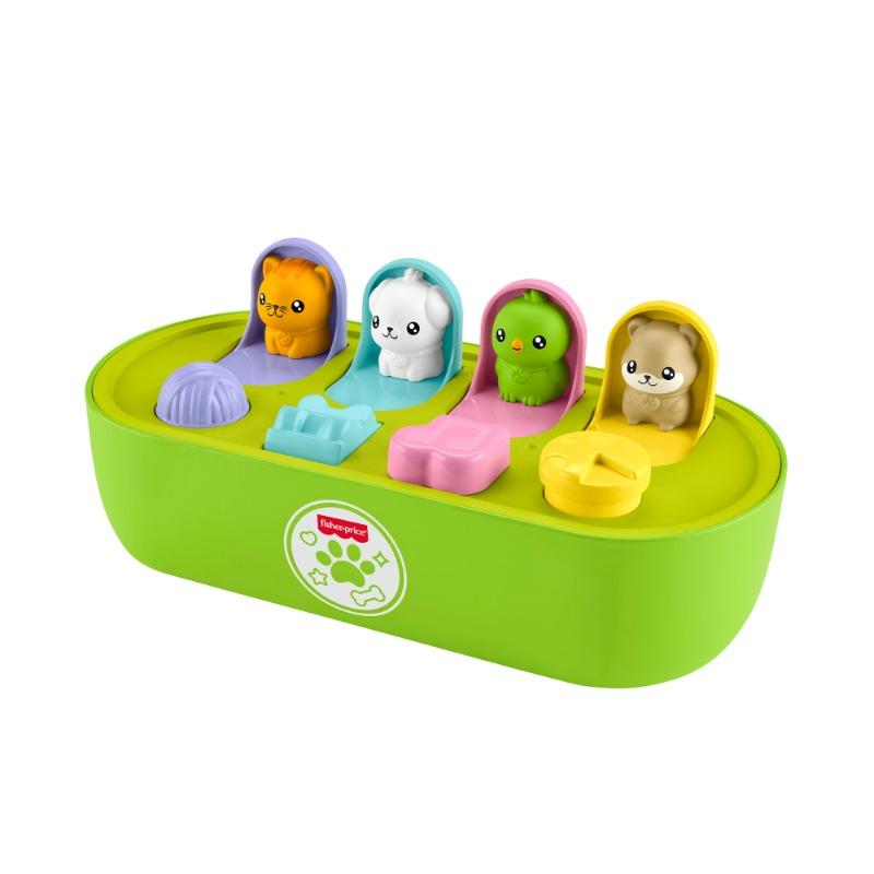 Fisher Price FP Pets Fine Motor Pop Up Activity Toy
