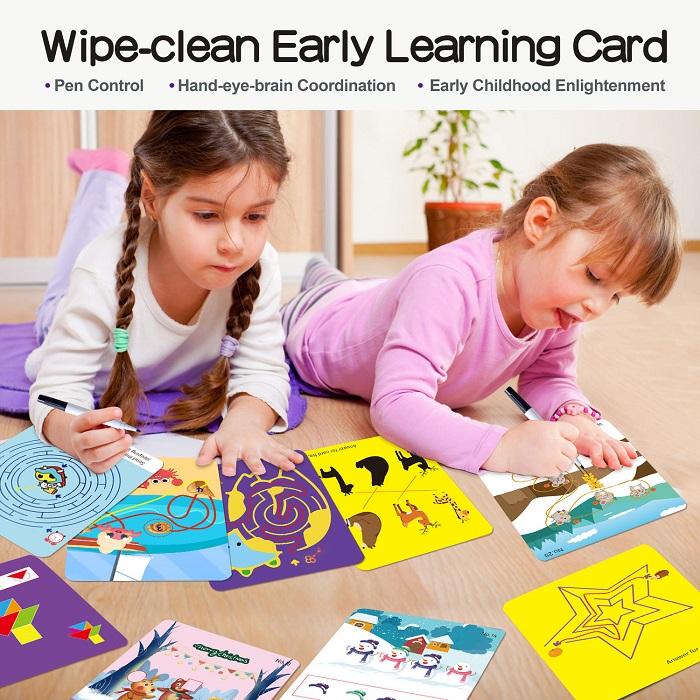 Wiple Clean Early Learning Cards - Brain Games
