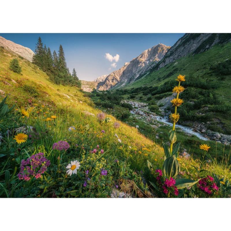 Ravensburger Magical Valley Puzzle