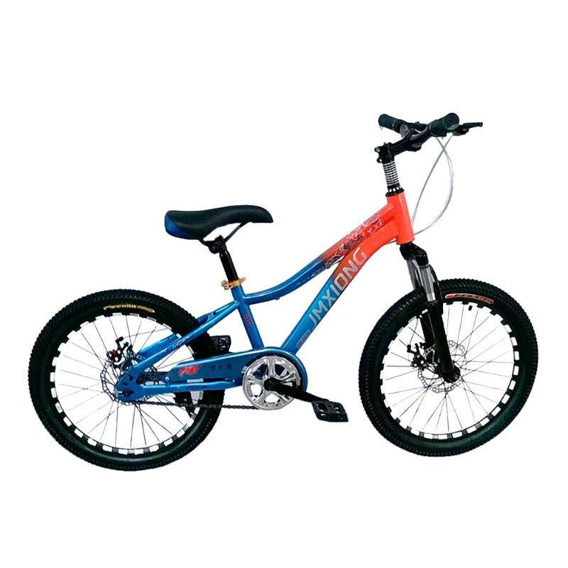 First Step Kids' Bike 20 Inch