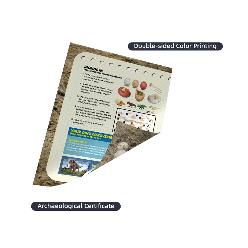 Excavate Dino Egg Set