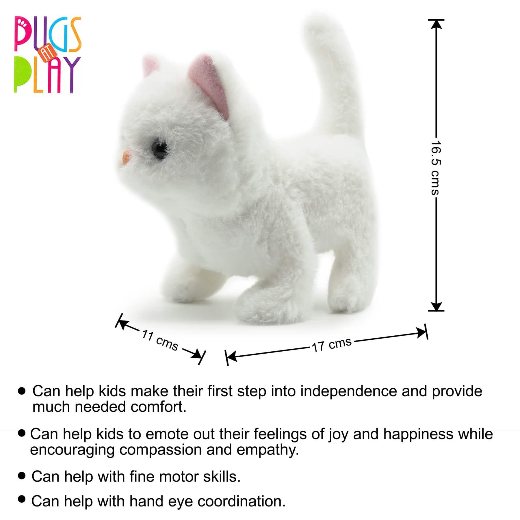 Pugs at Play Casper Walking Cat