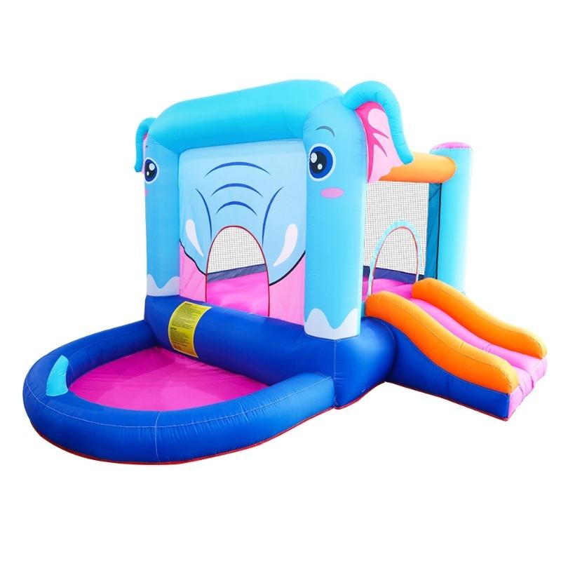 Doctor Dolphin Inflatable Bounce House with Slide