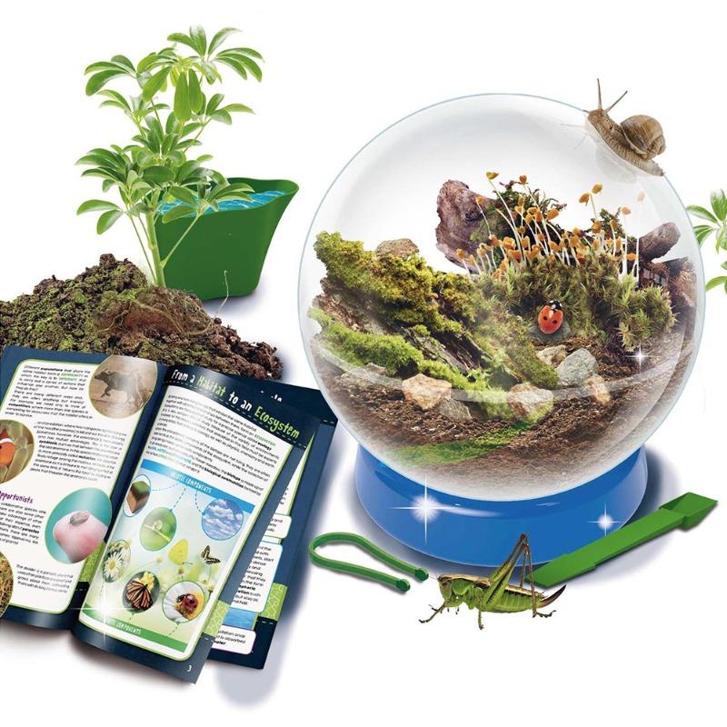 ليسياني - مجموعة آيم أجينيوس لزراعة والنظم البيئية