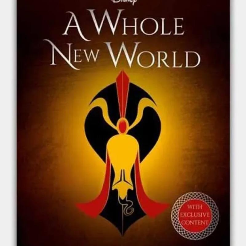 Disney Princess Aladdin A Whole New World