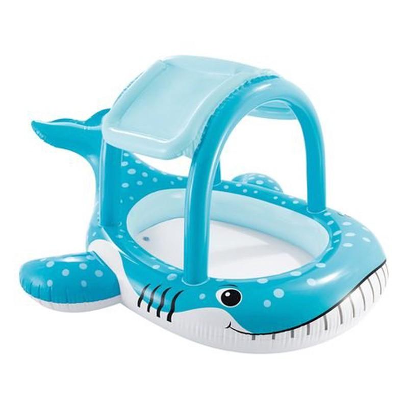 انتكس - بركة الظل الحوت