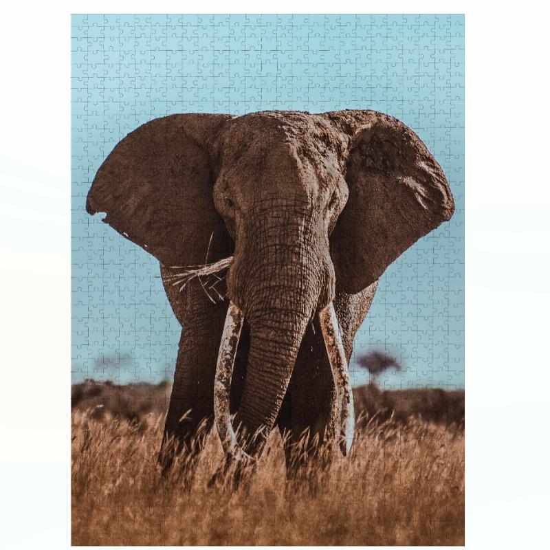 Ambassador - Wild Animal Families Donal Boyd 3x1000 Pcs - Shape 2