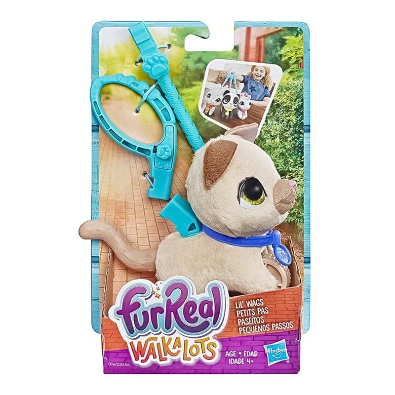 فوريل - القطة كيتي تمشي