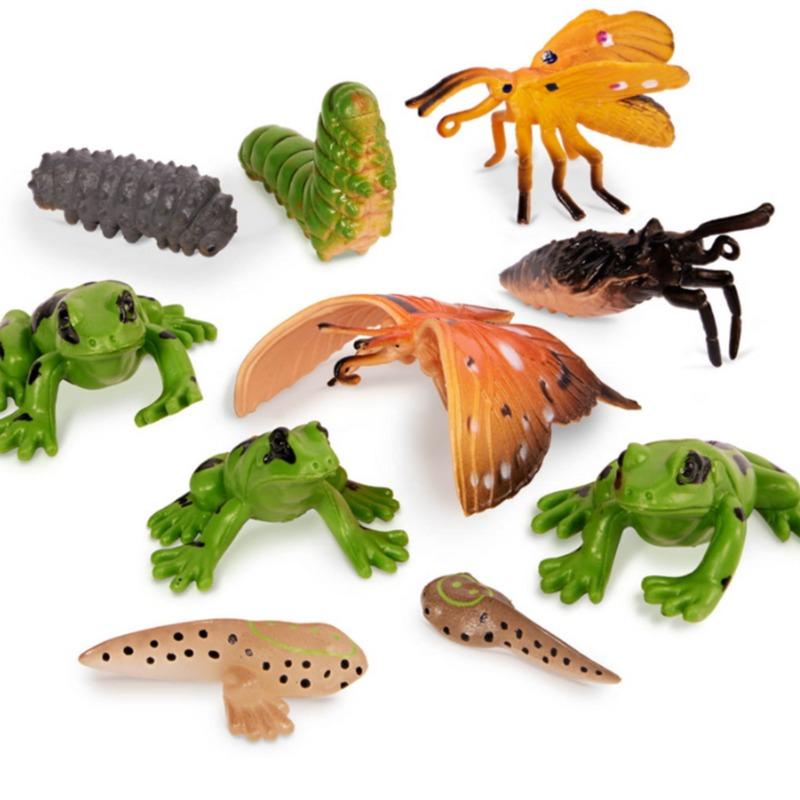 Terra Metamorphosis Animals Tube - 10pcs