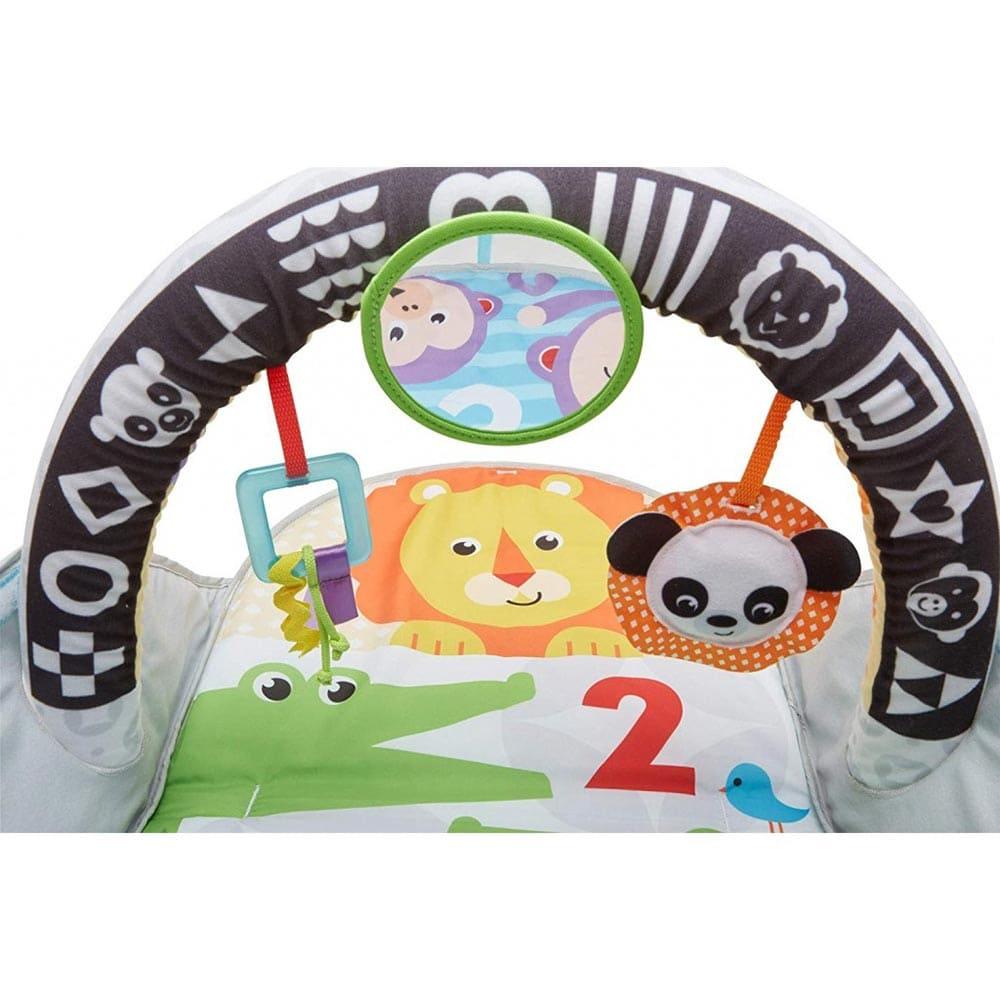 Fisher Price Newborn Stow And Go Activity Gym