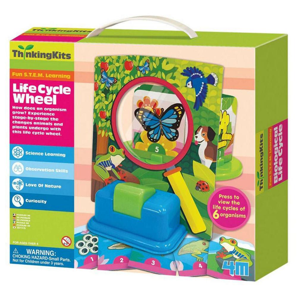 4M Thinking Kits Life Cycle Wheel