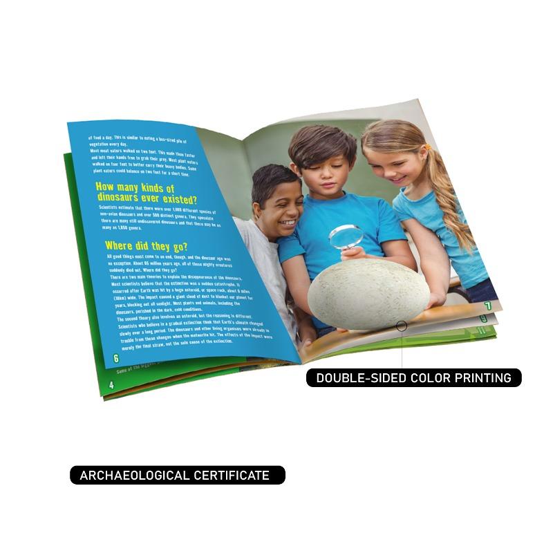 Wow Toys Big Dig Dinosaur World Set