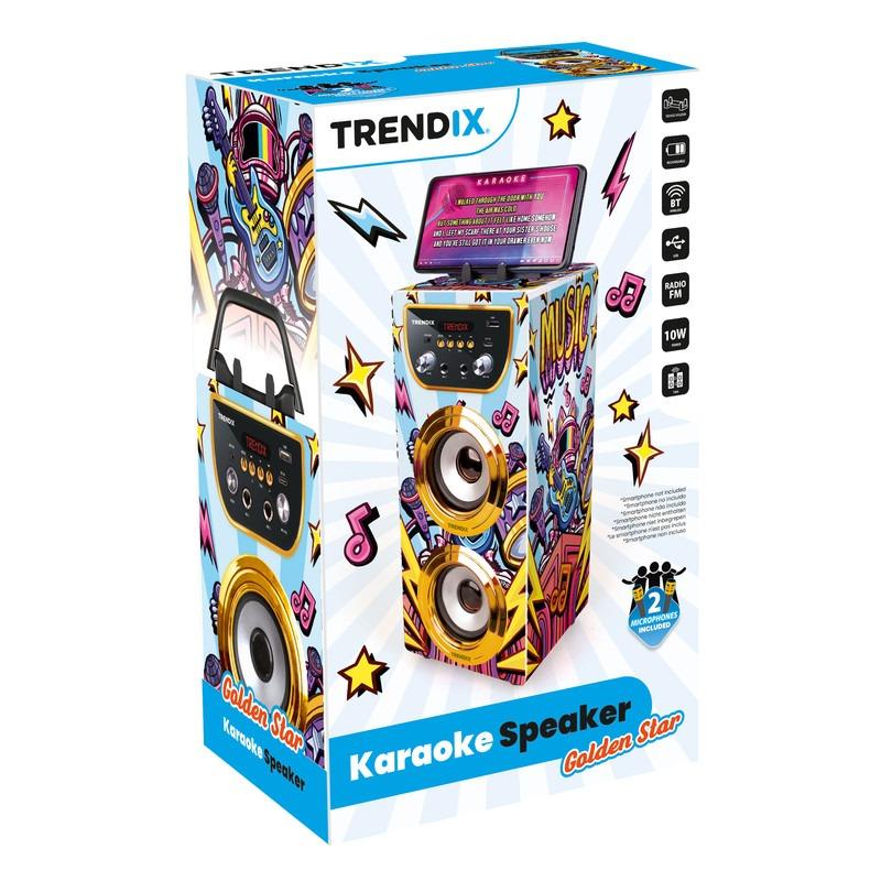 Karaoke Golden Star 2 Microphones