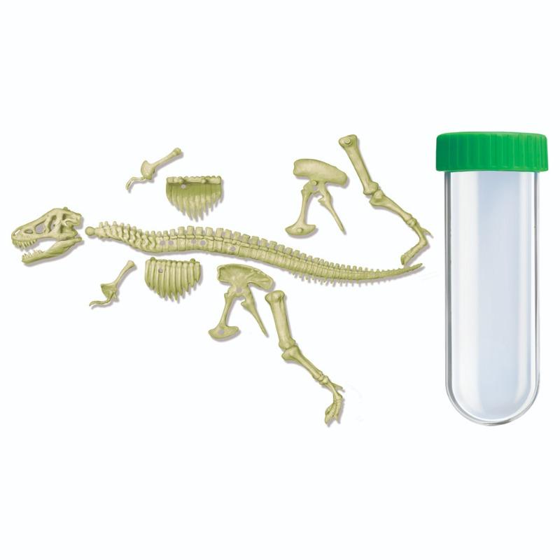 4M Glow T Rex Skeleton Science Educational Toy