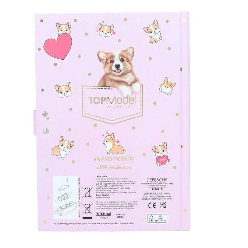 TopModel Diary With Code and Sound