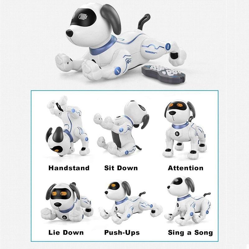 Robot Stunt Dog
