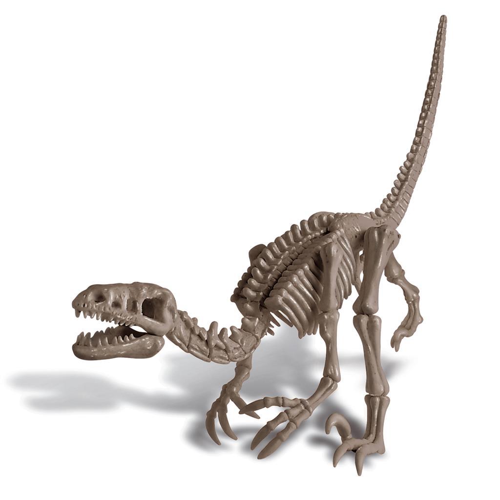 4M Kidz Labs Dig A Dinosaur Skeleton Velociraptor
