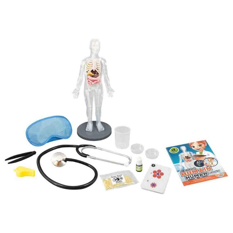 بوكي فرانس - مجموعة تعليم جسم الإنسان 12 تجربة تشريحية