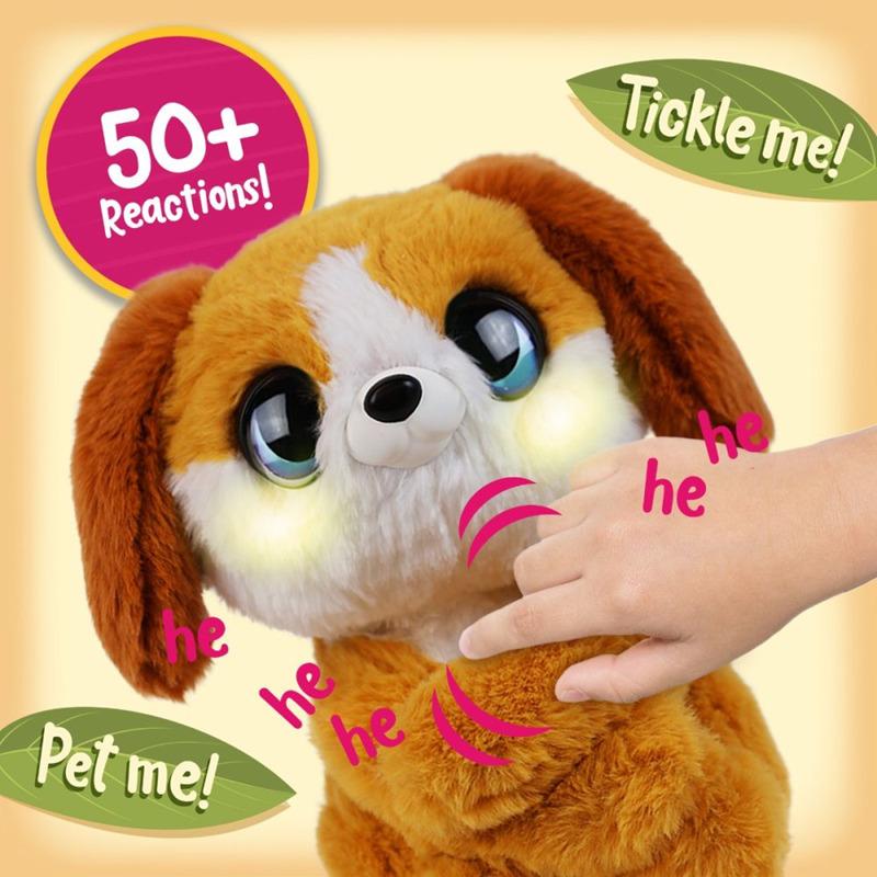 زيغي - الجرو المتحاضن