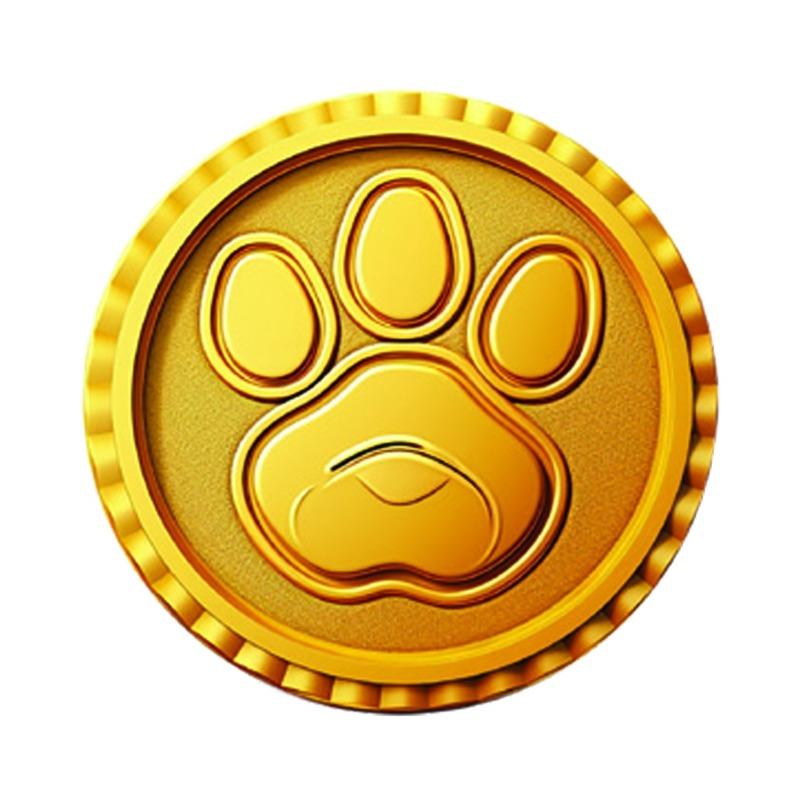 Paw Patrol Treasure Hunt