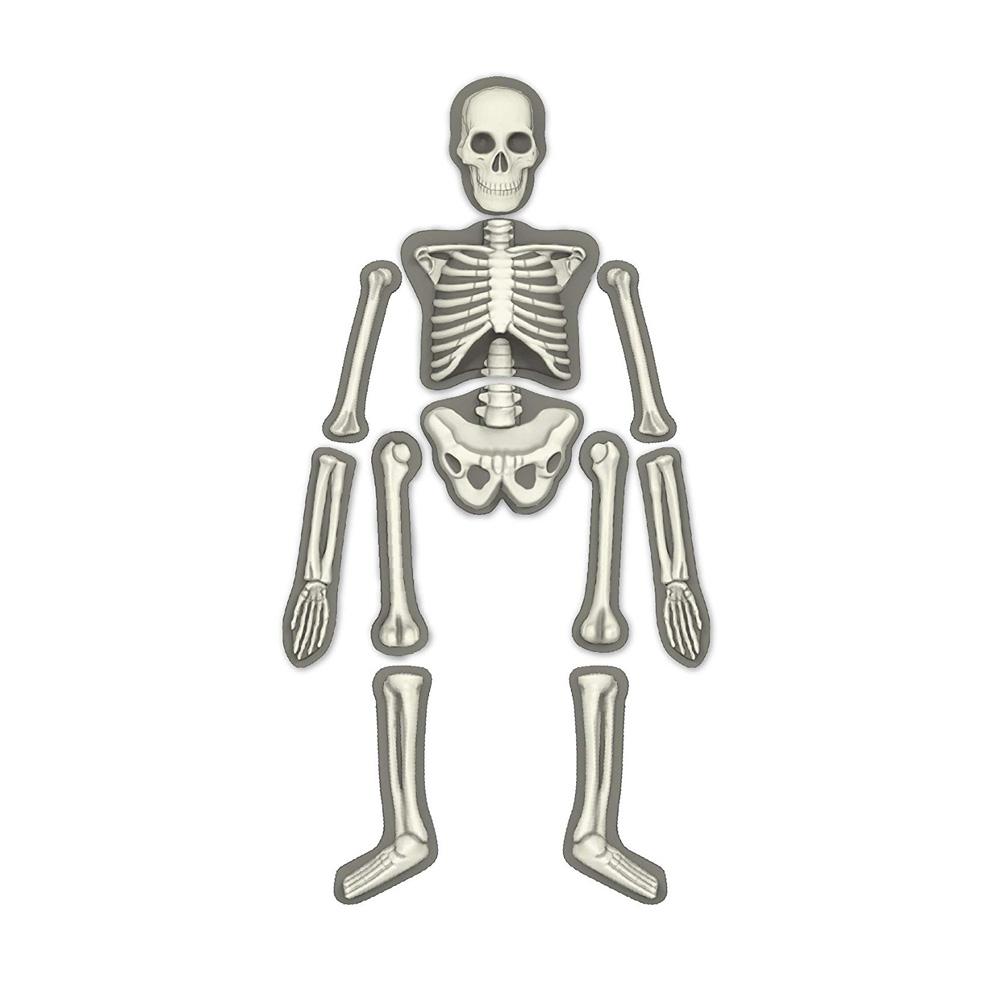 فور إم - الهيكل العظمي المضيئ