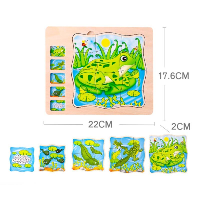 Onshine Wooden Frog Block Puzzle