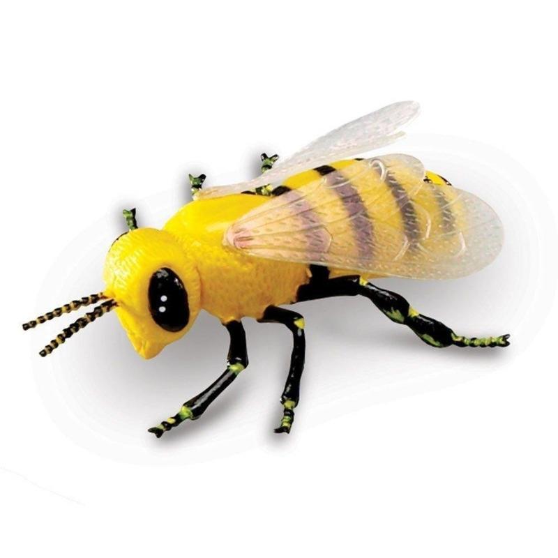 Learning Resources – Jumbo Insect Collection