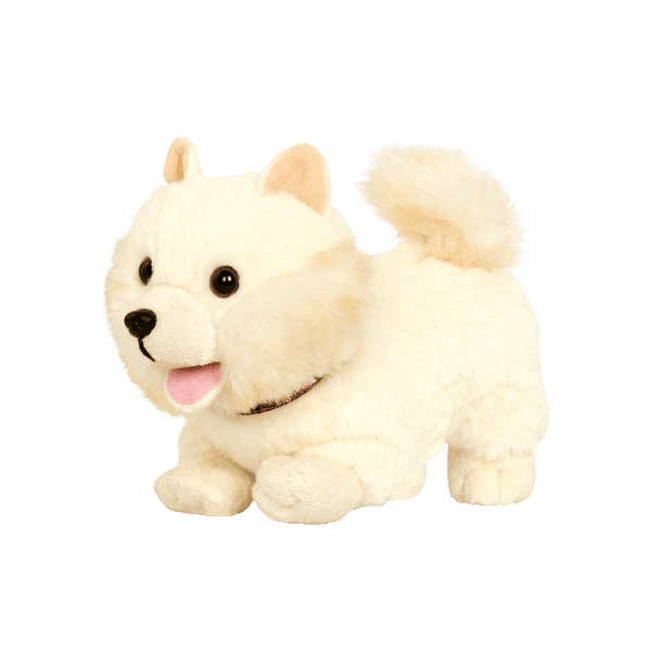 أور جنيريشن - الجرو بوب ذو الشعر الطويل