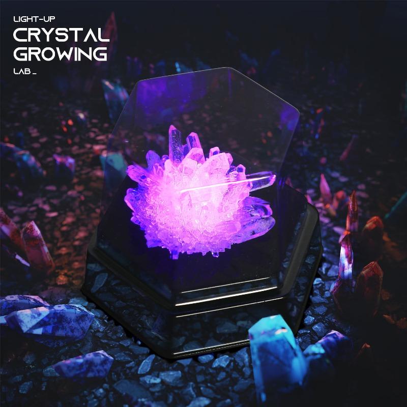 Light Up Crystal Growing Set