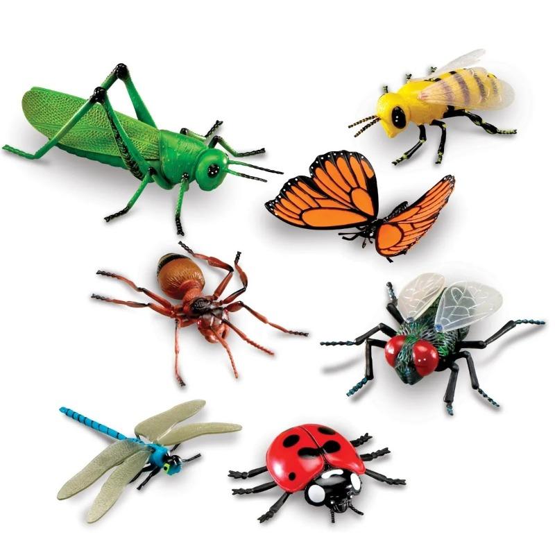Learning Resources – Jumbo Insect Collection