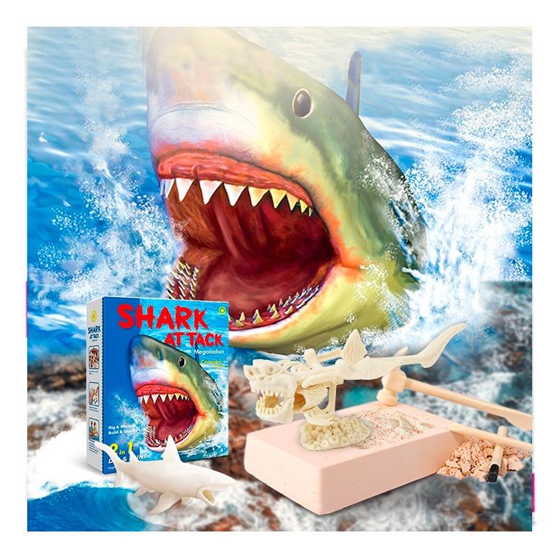 Shark Attack Digs And Paints Megalodon