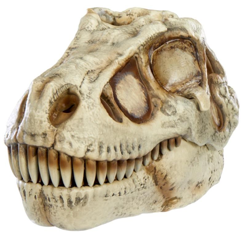 ام جي اي انترتيمنت - لعبة جروسموس بلايند دينو المائية