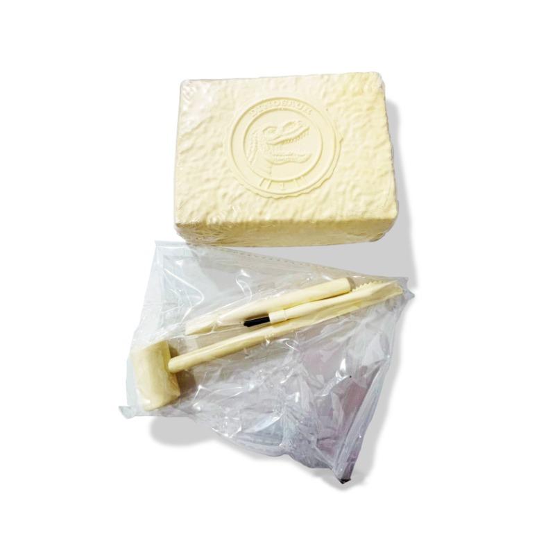 Real Science Excavate Science Box