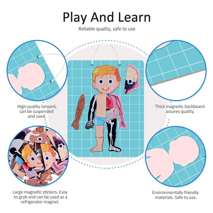 Magnetic Puzzle Game - Human Body