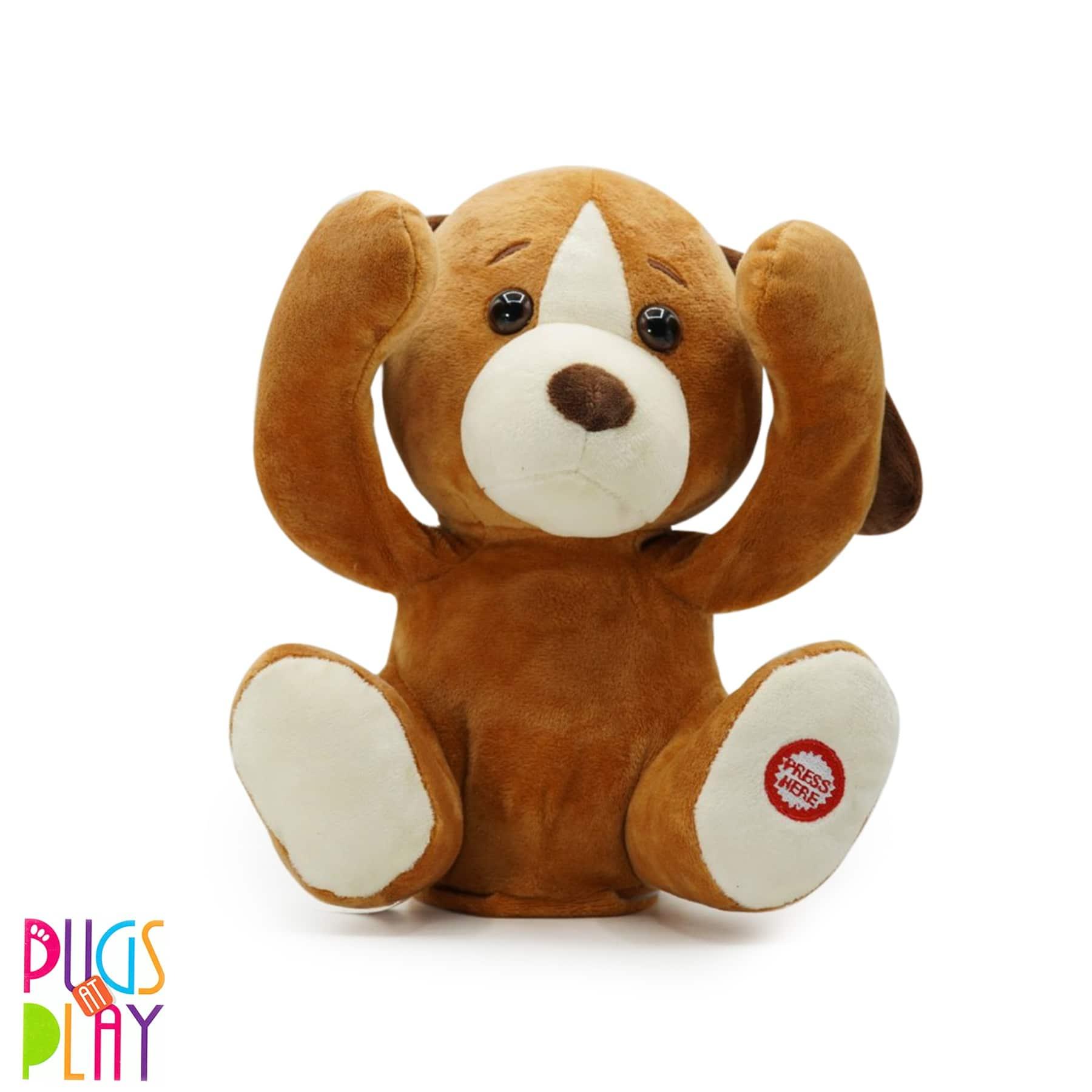 Pugs at Play Peek-a-Boo Dash the Dog Toy