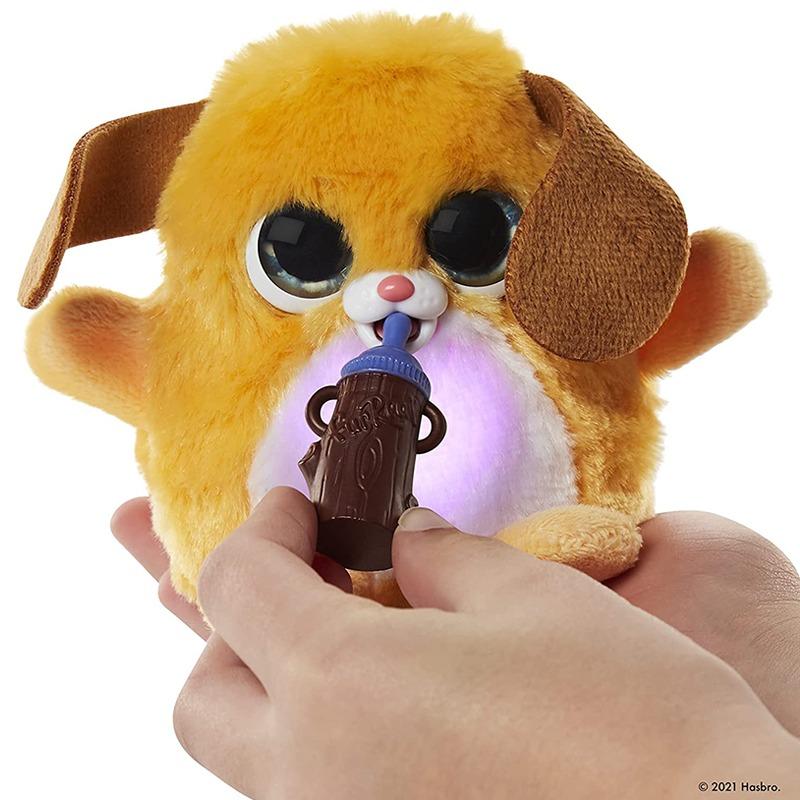 فوريل - فوزالوتس بوبي