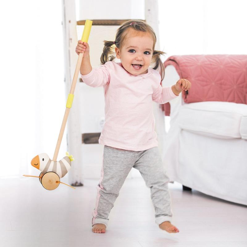 هيب - عصا المشي قابلة للفصل فلابي بيرد