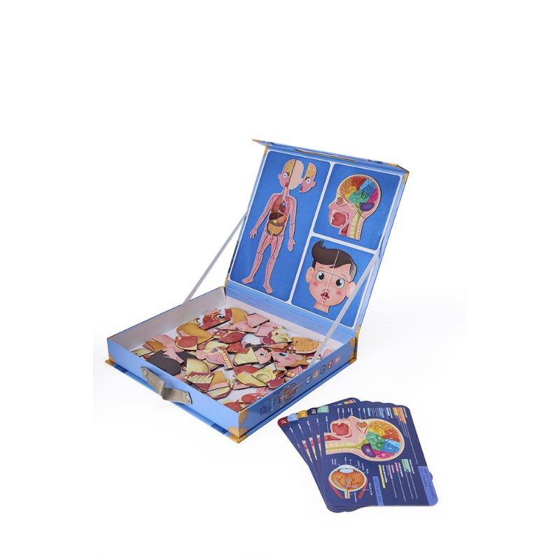 Human Body Puzzle Toy