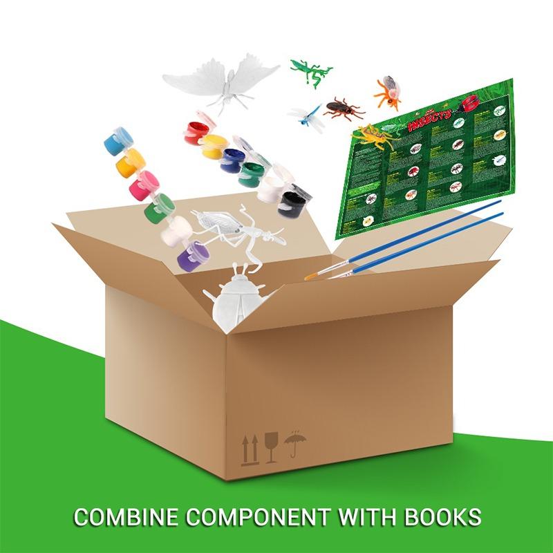 مجموعة تلوين الحشرات المختلفة