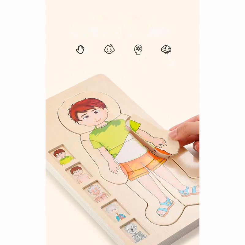 Onshine Your Body 5 Layers Wooden Puzzle