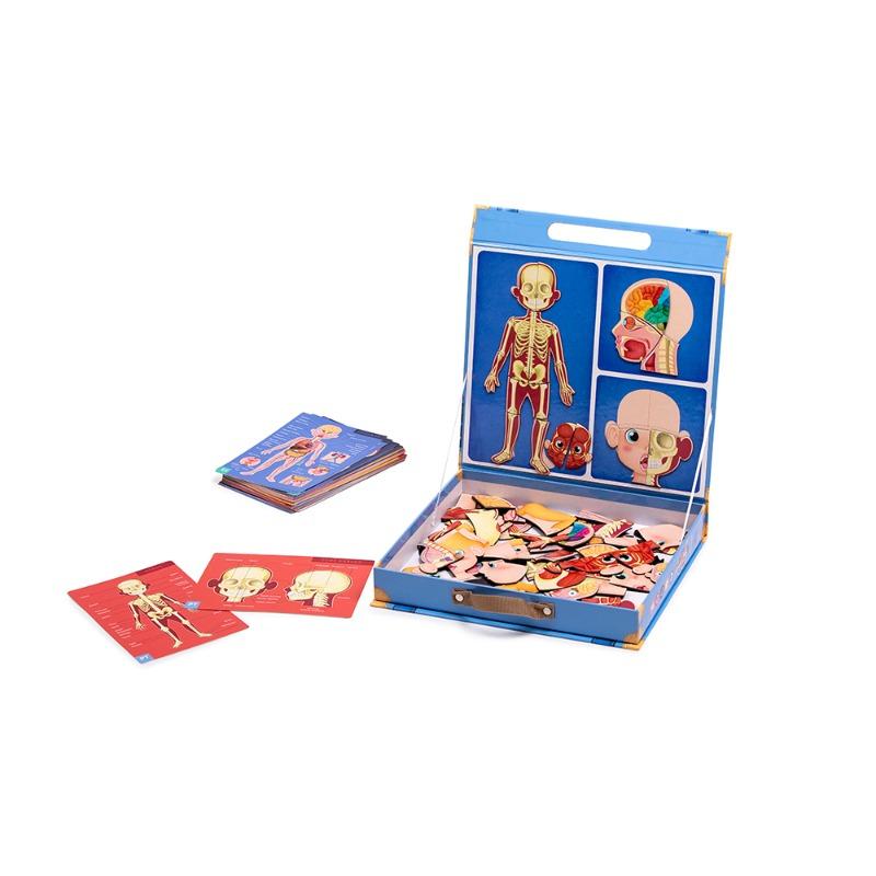 Human Body Puzzle Toy