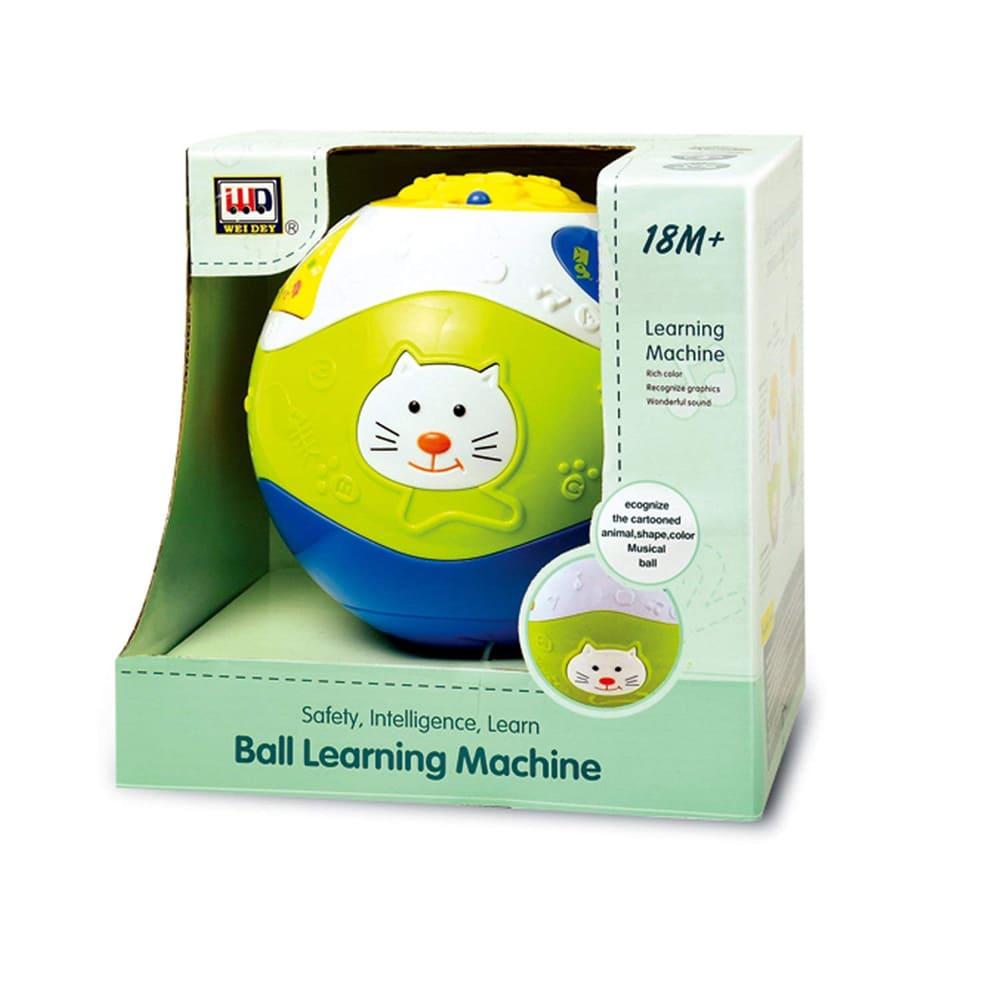 Ball Learning Machine